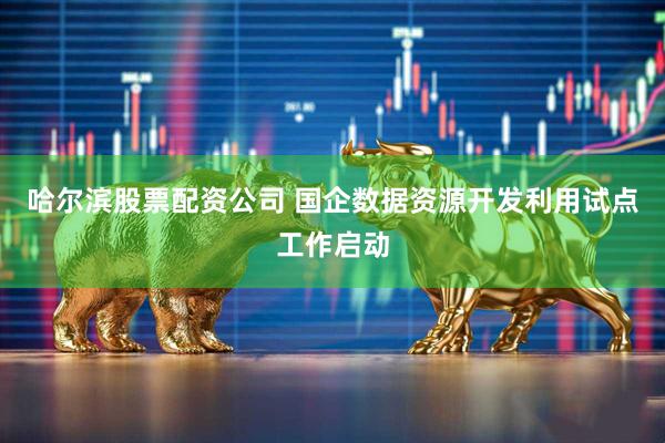 哈尔滨股票配资公司 国企数据资源开发利用试点工作启动